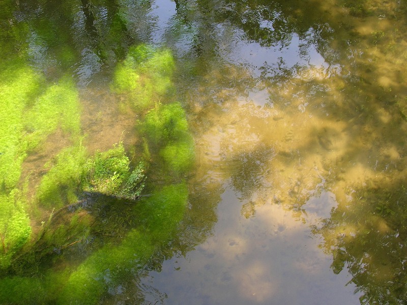Un mondo riflesso...